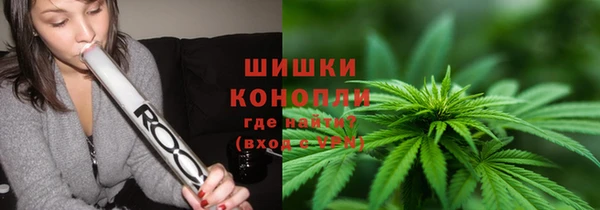 стаф Бородино