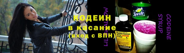стаф Бородино