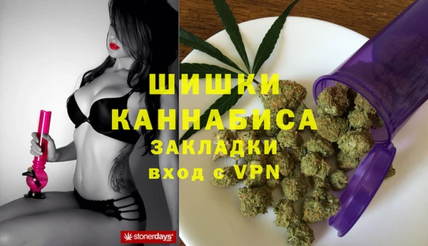 стаф Бородино