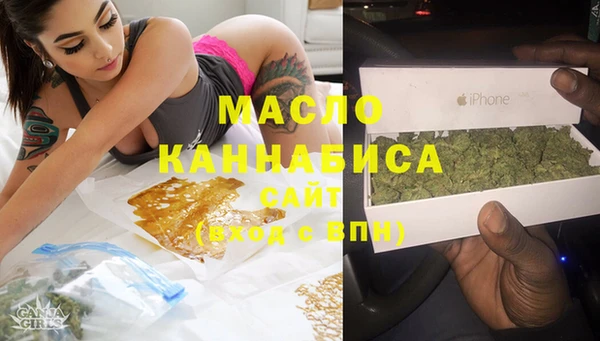 стаф Бородино