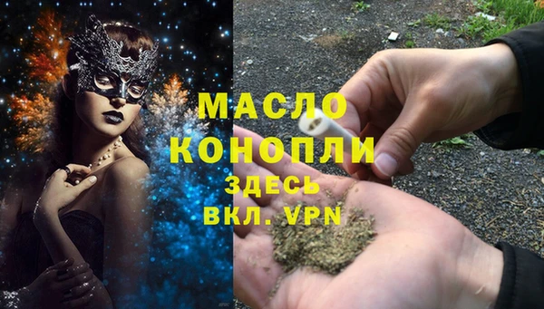 стаф Бородино
