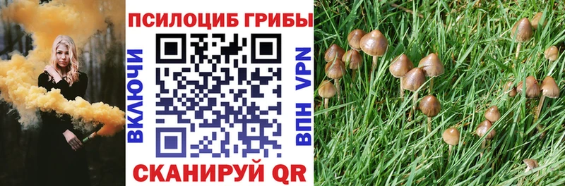 Галлюциногенные грибы Magic Shrooms  маркетплейс телеграм  Тосно  ОМГ ОМГ онион 